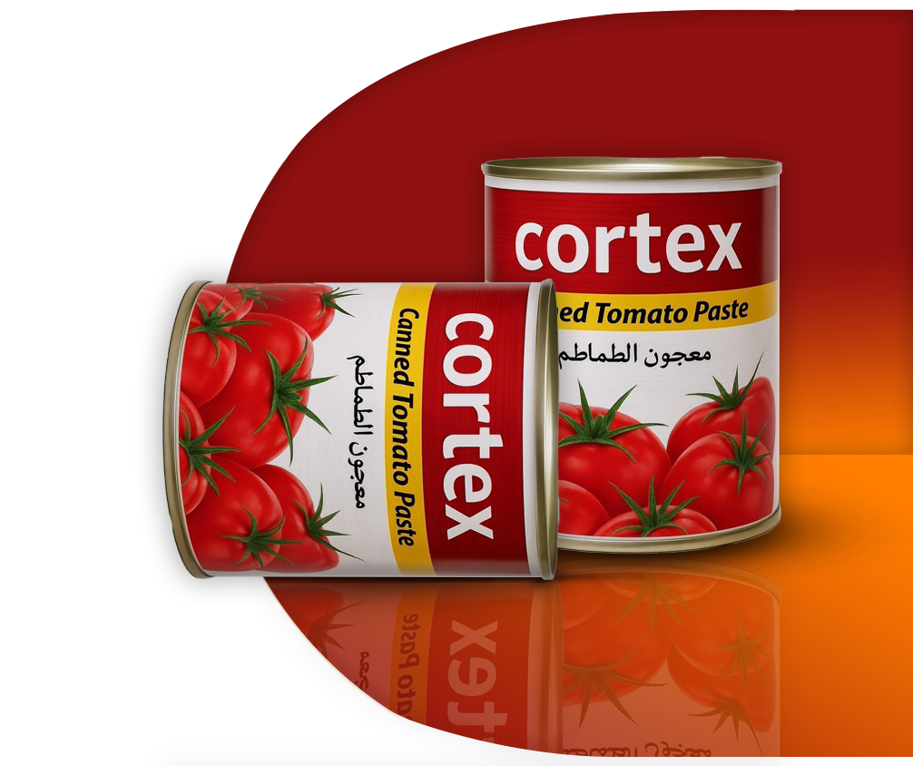 رب گوجه فرنگی
